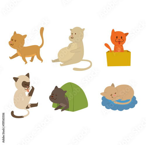 Cartoon vector cat character