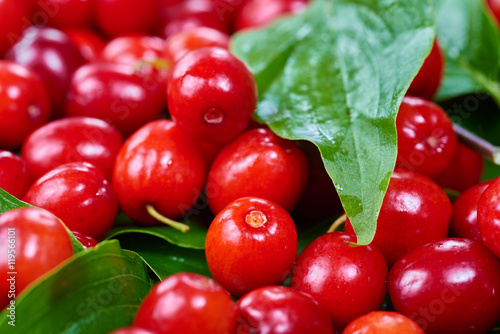 Fotografie Ripe cornelian cherry (Cornus mas). Fruit background