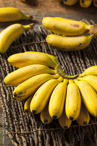 Raw Organic Yellow Baby Bananas