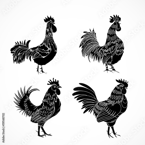 Set of roosters as animals zodiac symbols for Chinese New year 2017. Hand drawing collection of cocks design elements for Chinese New year cards. Chinese Year of the Rooster zodiac emblem bundle.