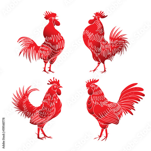 Set of roosters in different directions and poses. Hand drawing of red cocks. Collection of detailed quality farm birds. Bundle of zodiac symbols for Chinese New year 2017.  