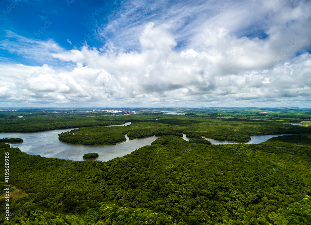 Amazon rainforest in Brazil, South America - obrazy, fototapety, plakaty 
