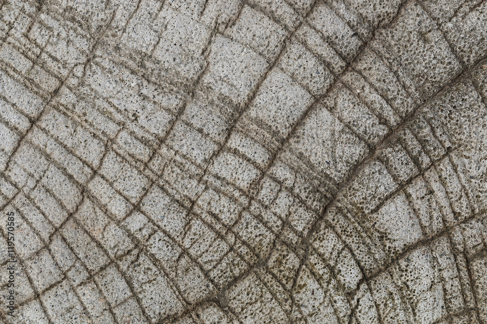 design on cement and concrete texture for background