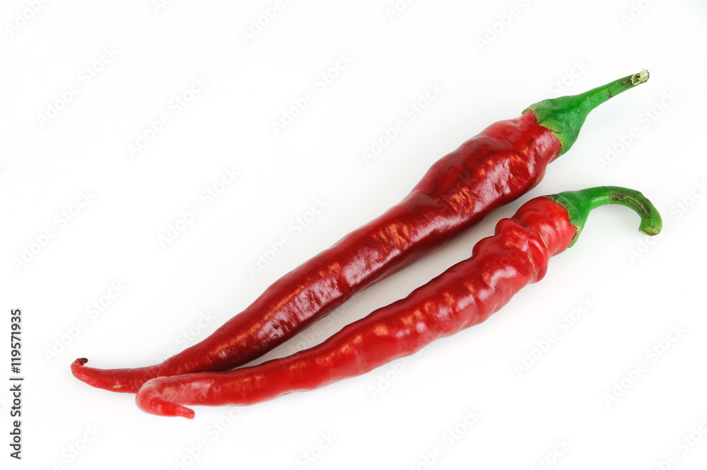 red hot pepper isolated on white background