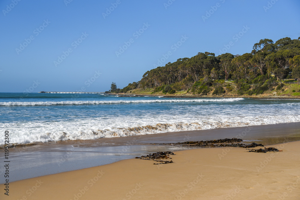 Beautiful beach and sea at Lorne beach Beautiful beach and sea at Lorne beach