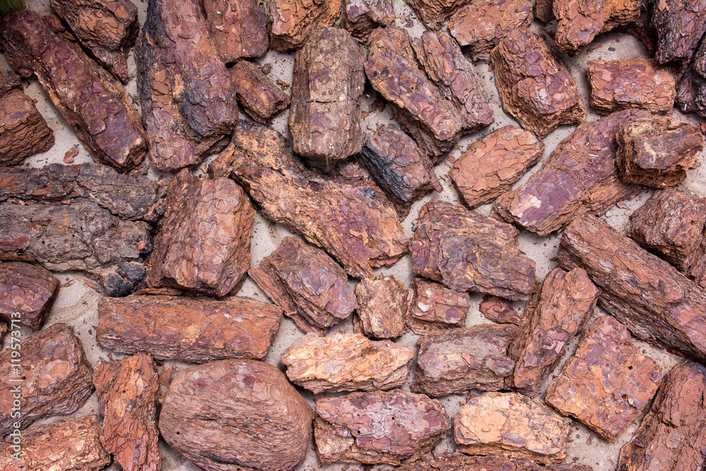 Pieces of dried bark texture background Pieces of dried bark texture background