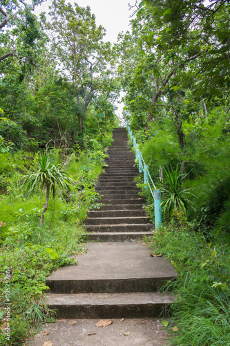 Jungle, forest path, mud steps with wood