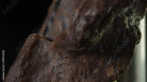 Australopithecus Skull on Black Background photo