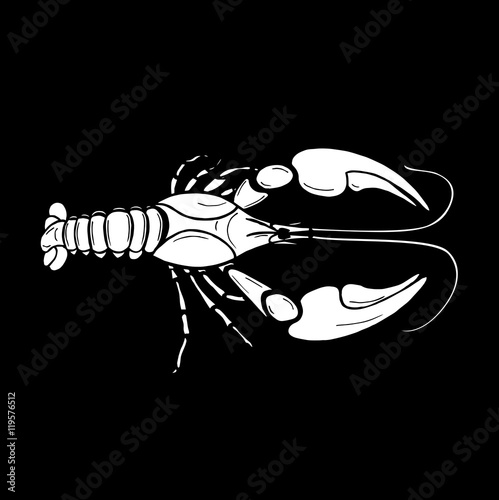 Vector Crayfish. Zodiac sign cancer, Black and white hand drawin