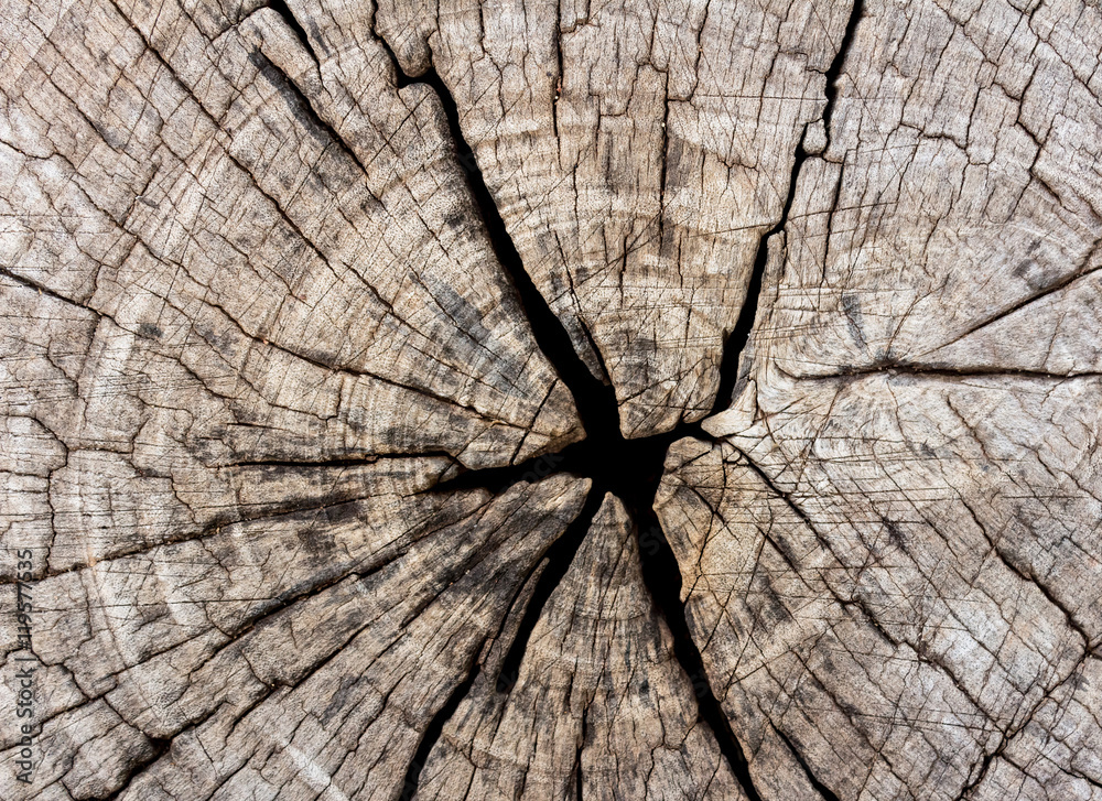 Old wood texture for background