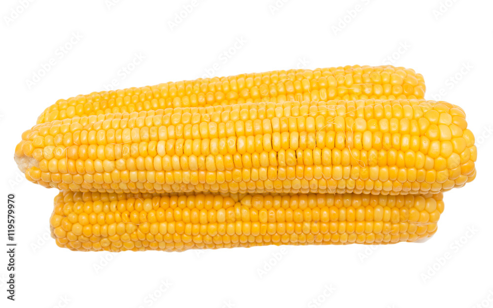 corn corn