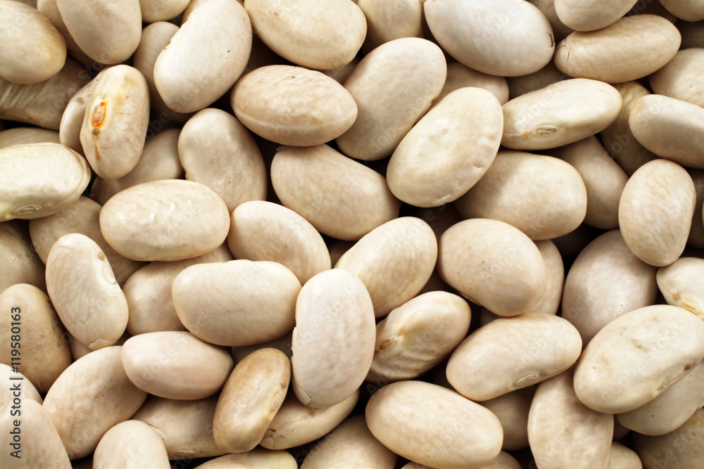 An extreme close up image of dried white beans An extreme close up image of dried white beans