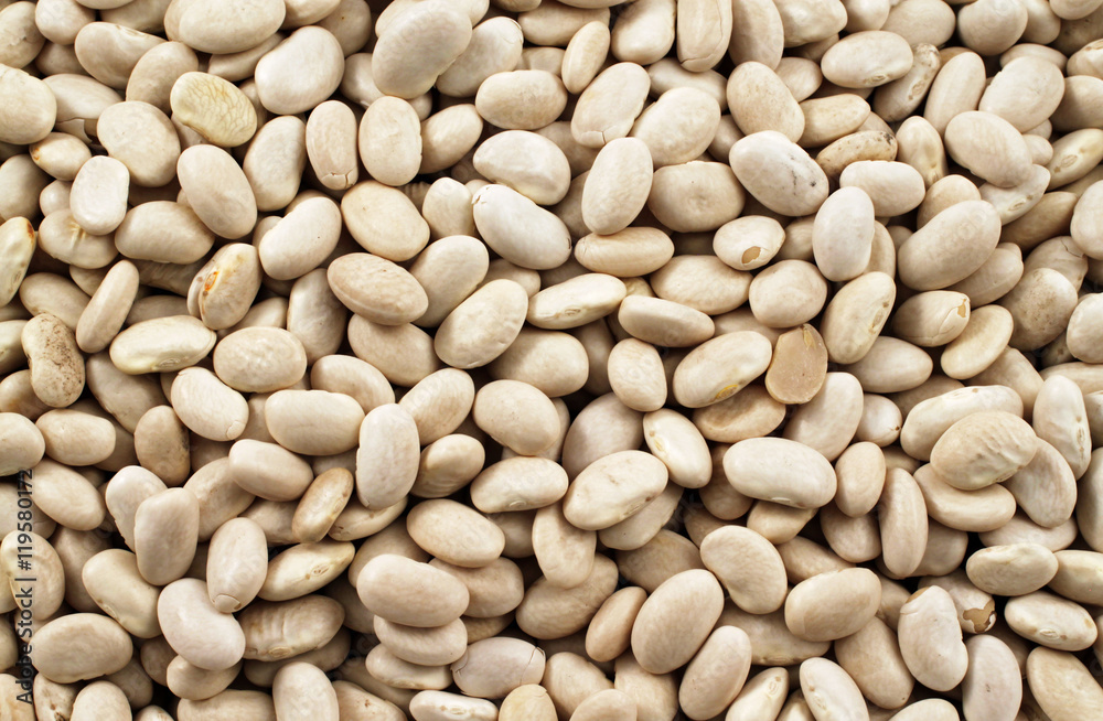 A close up image of dried white beans A close up image of dried white beans