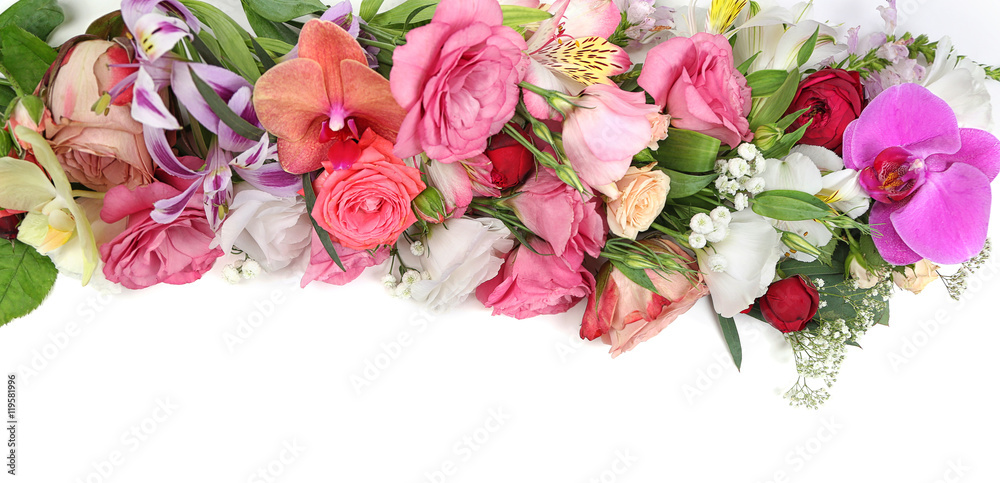 Fresh beautiful flowers on white background Fresh beautiful flowers on white background
