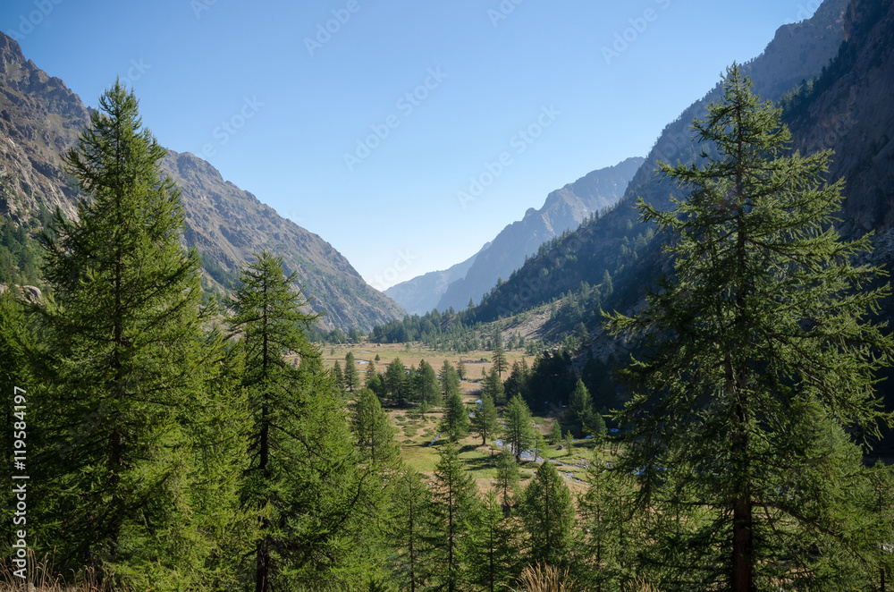 Mountain plateau with river, grass and trees Mountain plateau with river, grass and trees