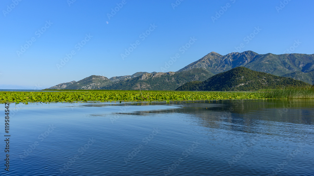 The landscape Skadar lake with algaes in the foreground. The landscape Skadar lake with algaes in the foreground.