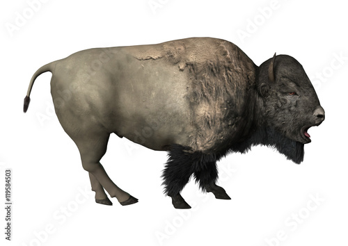 3D Rendering Bison on White