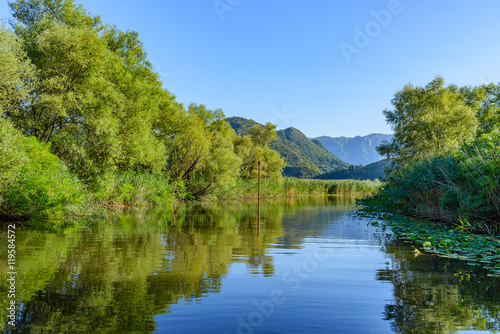 A beautiful view Virpazar channel into Lake Skadar. Reflection. © a_mikhail