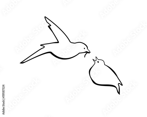 bird feeding chick. Vector