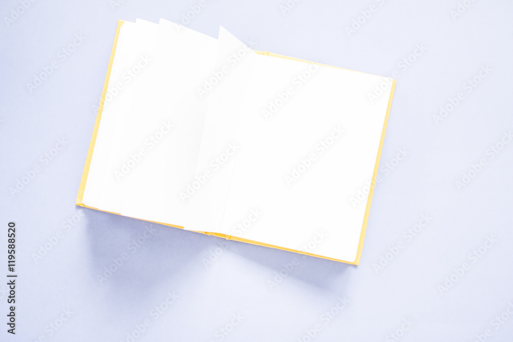 Opened blank notebooks Opened blank notebooks