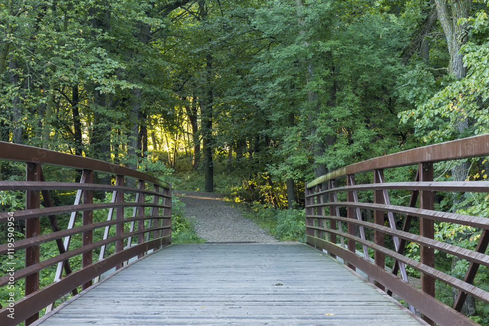 Obraz premium Footbridge To The Woods / A footbridge leading to the woods in the morning.