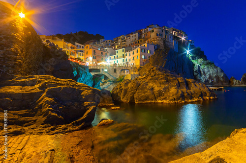 Manarola town on the coast of Ligurian Sea at night, Italy
