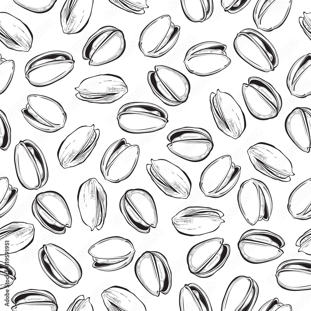 Fotografie Pistachio