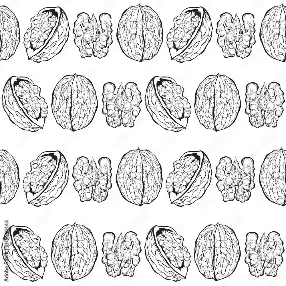 Walnuts. Seamless vector pattern. Outline hand drawn illustration Walnuts. Seamless vector pattern. Outline hand drawn illustration
