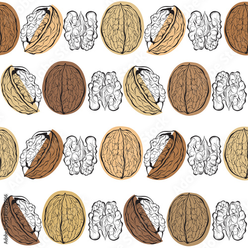 Walnuts. Seamless vector pattern on a white background. 