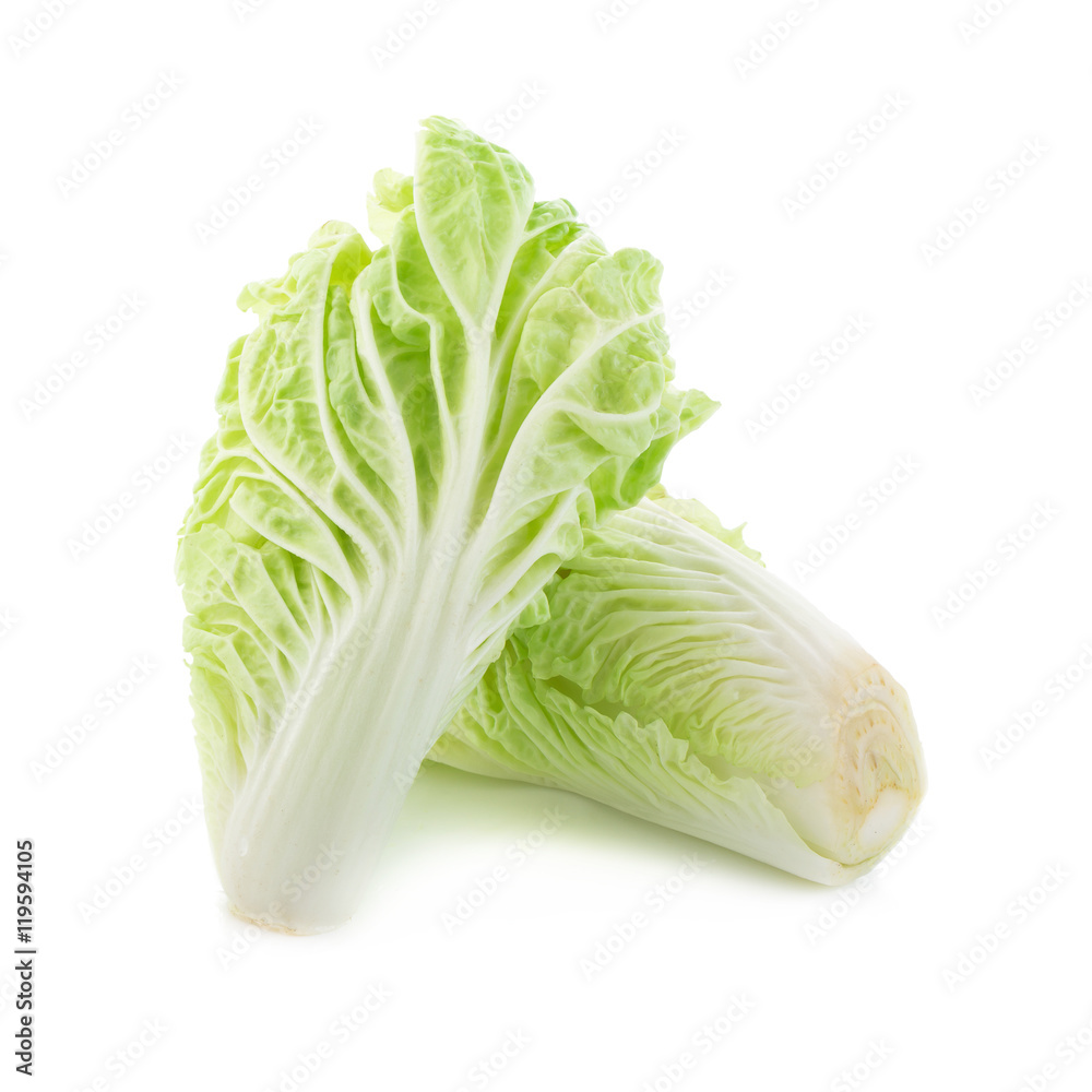 Fresh chinese cabbage on white background
