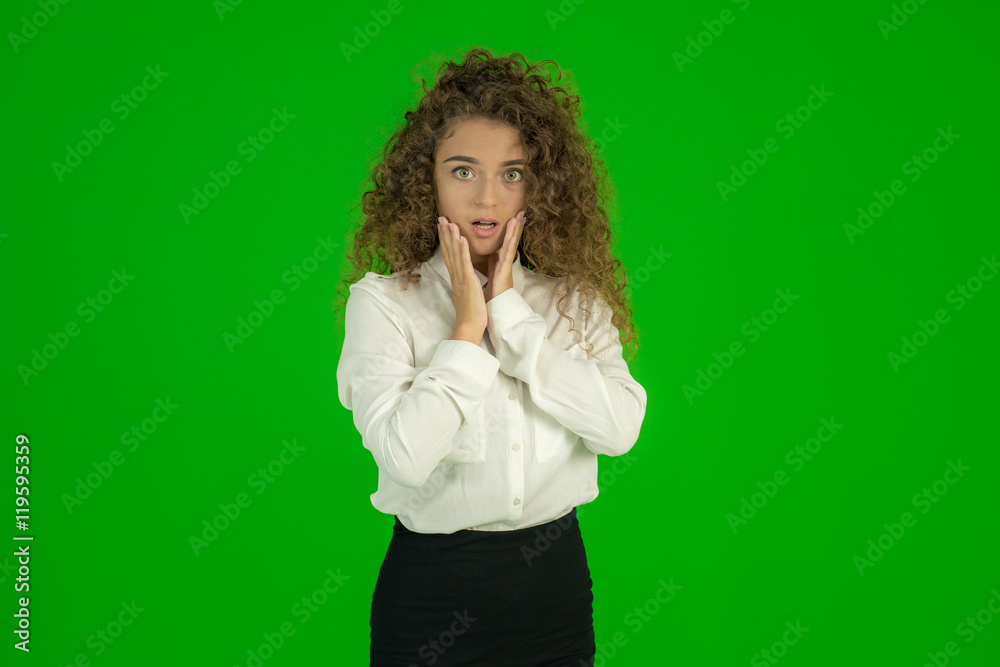 The businesswoman stand on the green background The businesswoman stand on the green background