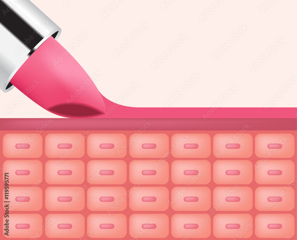 lipstick apply on lip skin vector , pink lipstick 