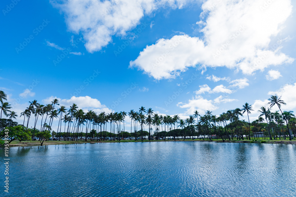 ヤシの木と空 水面の反射 ハワイ Stock 写真 Adobe Stock