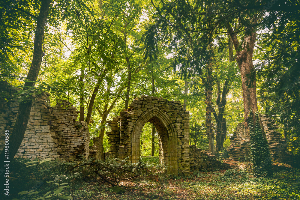 Obraz premium Old castle ruins
