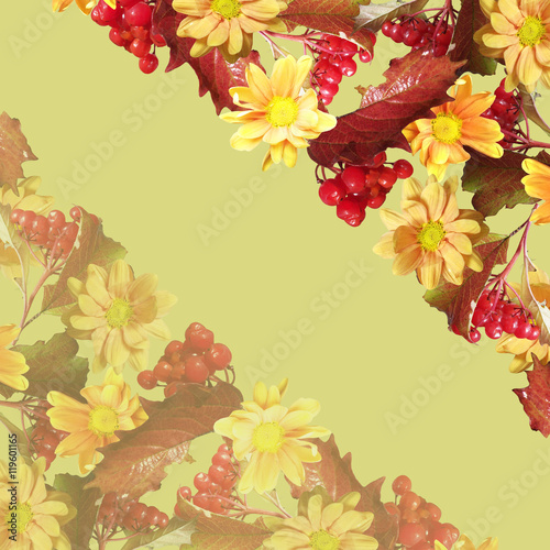 Beautiful autumn background from the berries viburnum and yellow chrysanthemum  