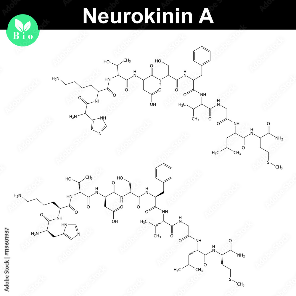Obraz premium Neurokinin A chemical structure