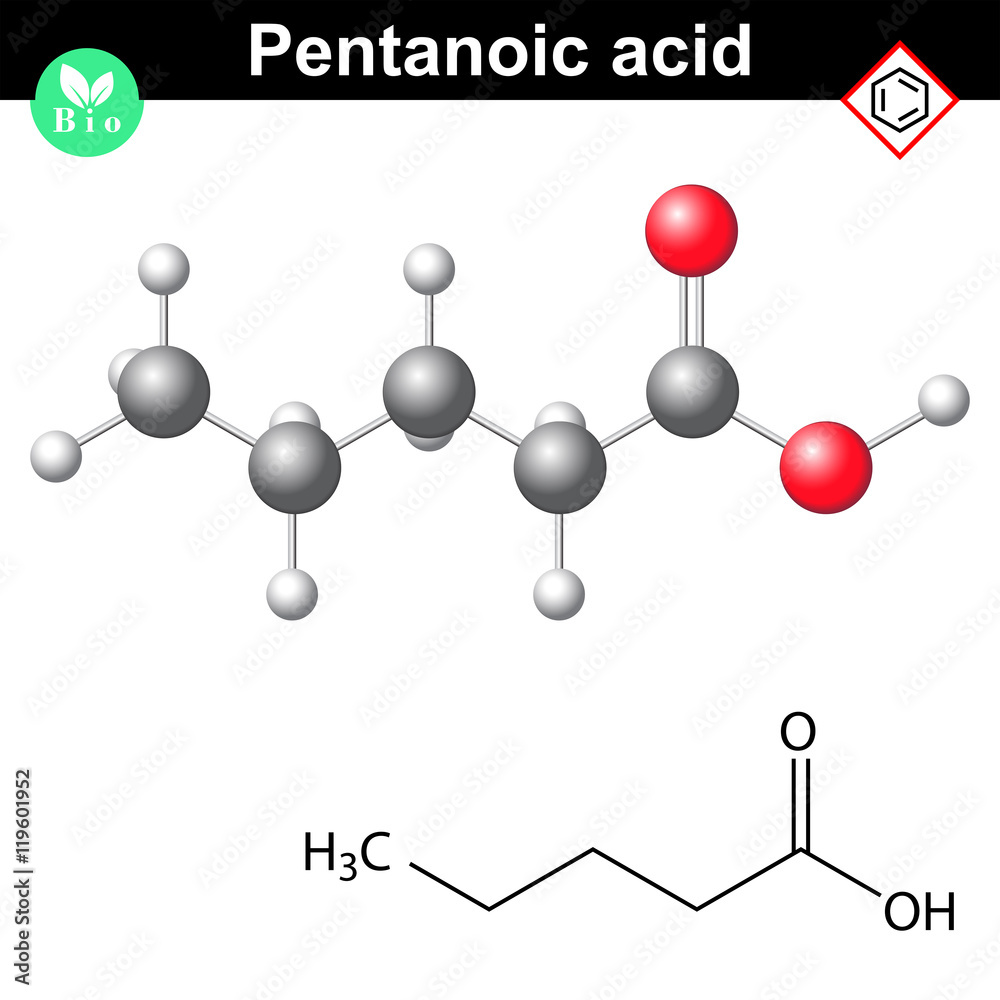 Valeric acid molecular model and chemical structure Valeric acid molecular model and chemical structure