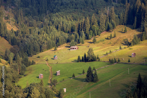 Summer rural landscape, at sunset