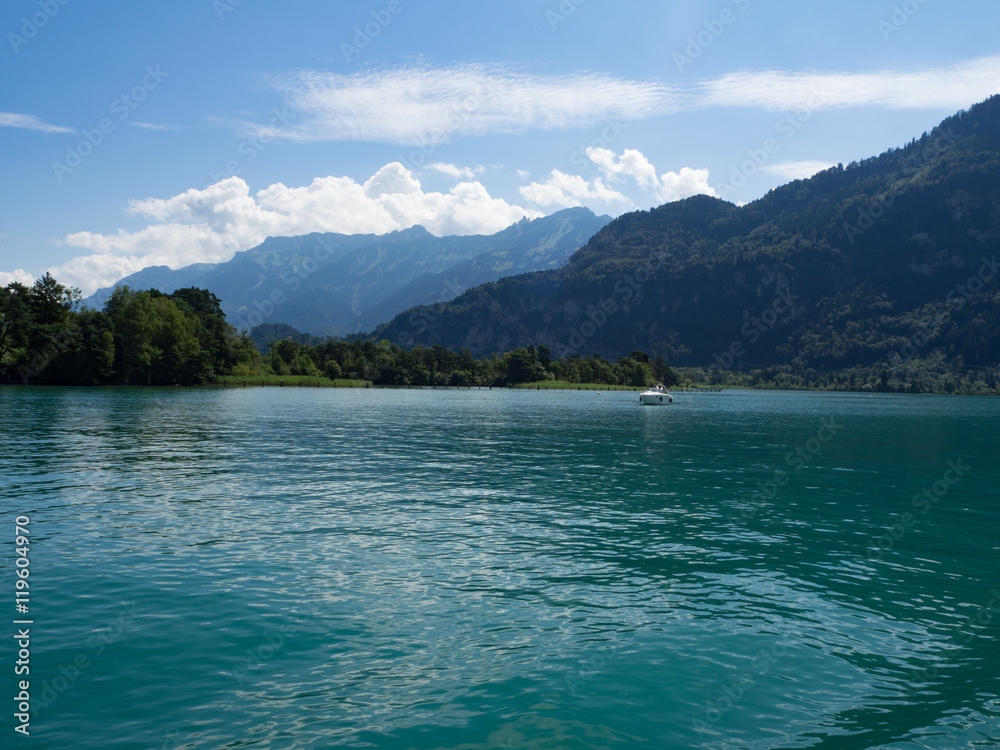 Precioso paisaje desde el barco que nos llevó por el lago de Thunersee en Interlaken , Suiza OLYMPUS DIGITAL CAMERA