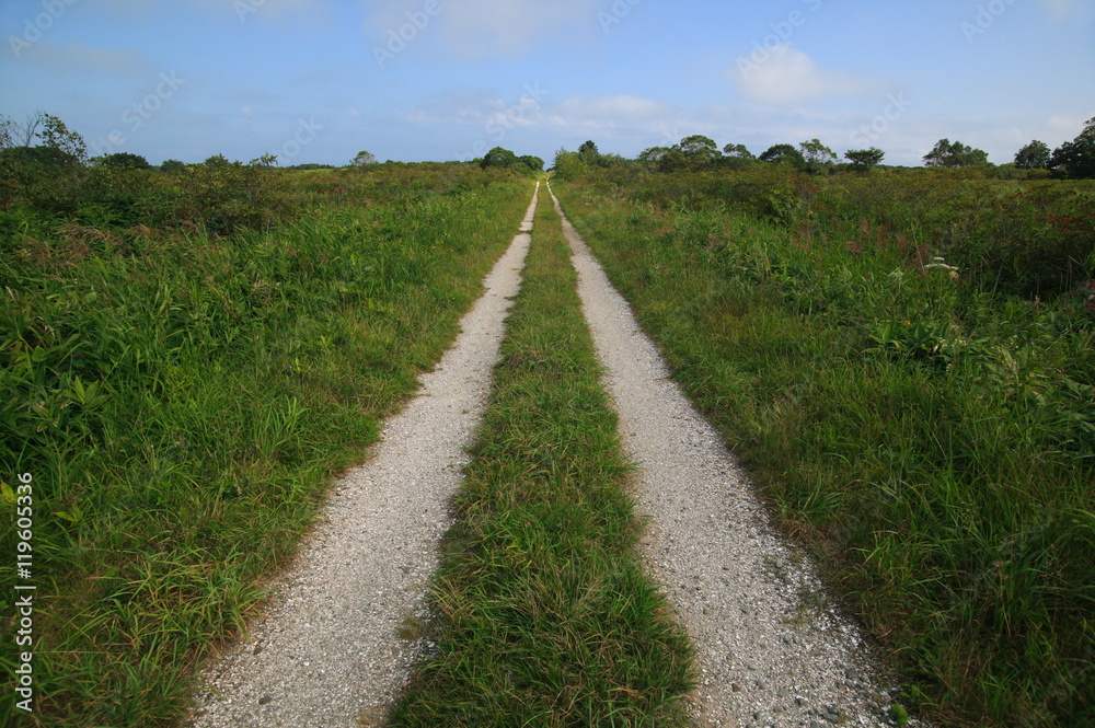 草原の中の一本道