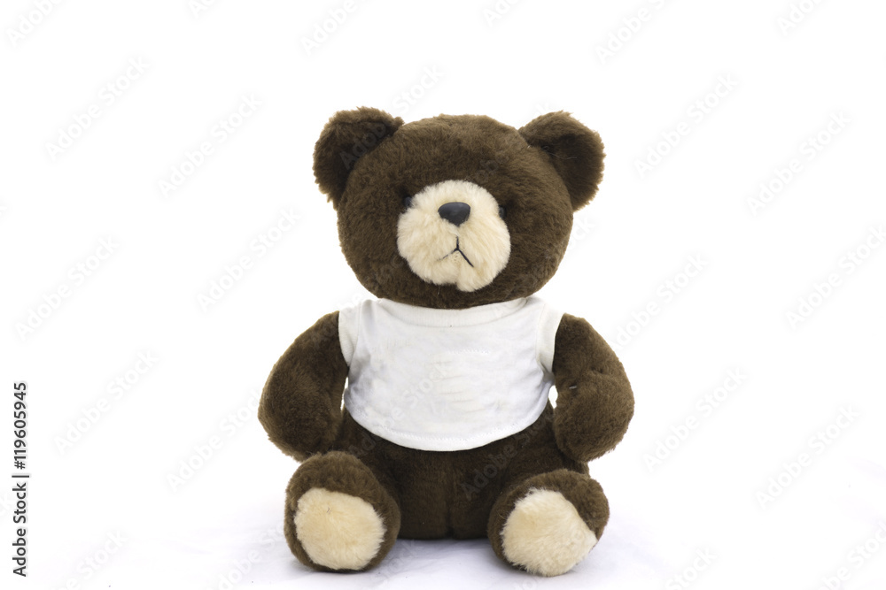 Obraz premium soft toy teddy bear on white background.
