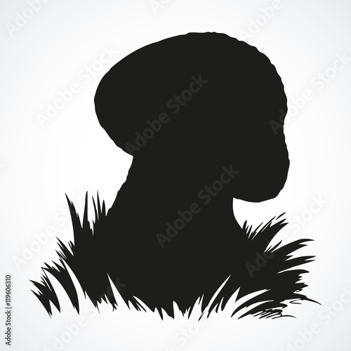 Cep on forest glade. Vector drawing