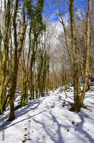 Monte Tancia (Rieti, Italy) - A mountain in the Monti Sabini, province of Rieti, chain of the Apennines, along a path that leads to the snow-capped peak photo