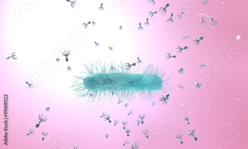 Bacteriophage viruses infecting bacterial cell