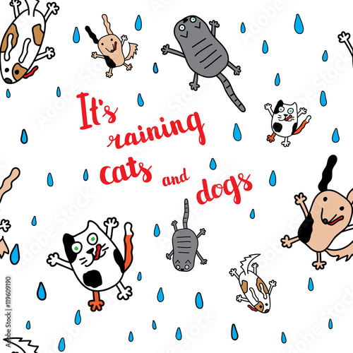 Photography "It's raining cats and dogs" autumn card.