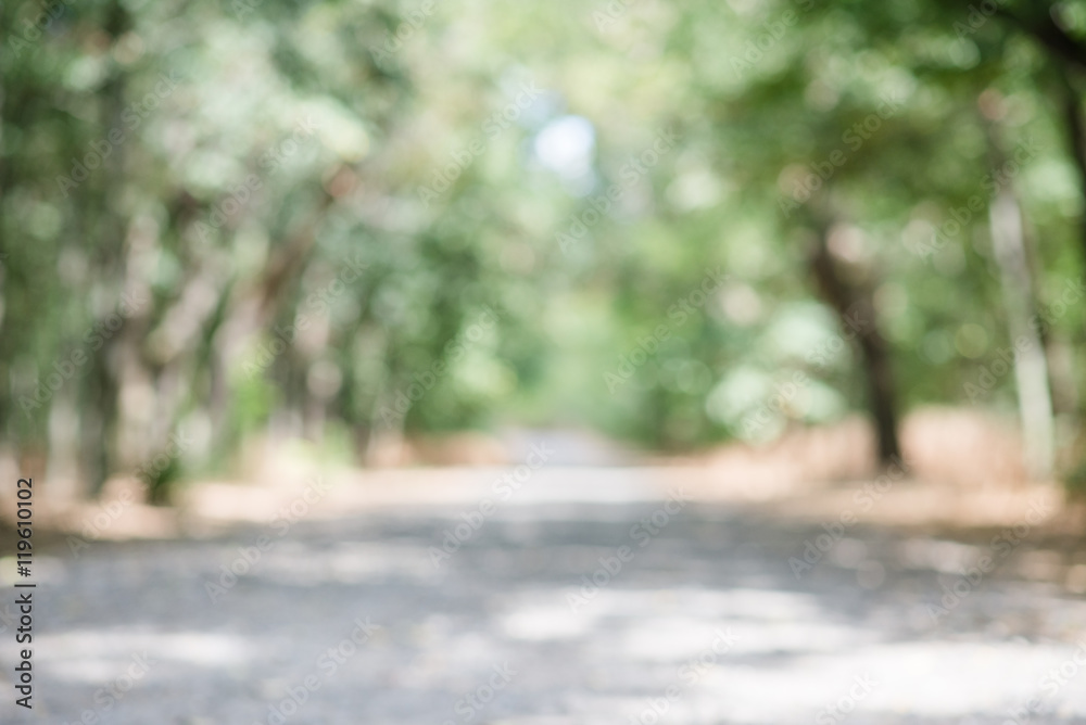 Blurred effect picture of a gravel road winding through the forest in a sunny day Blurred effect picture of a gravel road winding through the forest in a sunny day