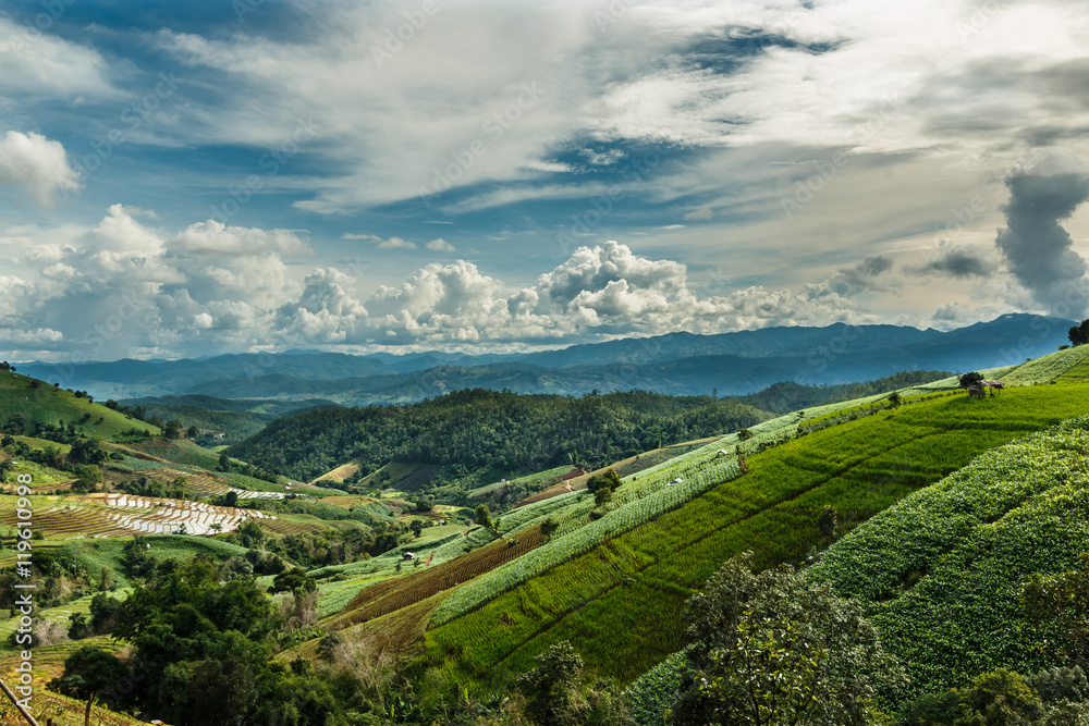 Landscape ,Pa Pong Piang rice terraces at District Mae chaem of Chiang Mai Province Country of Thailand .