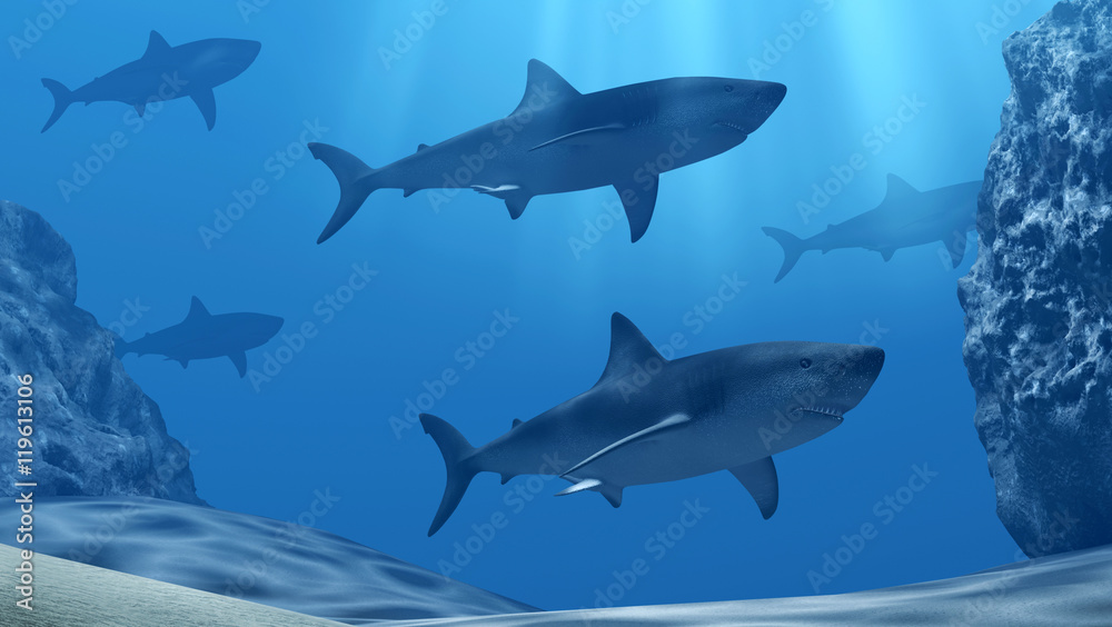Flock of sharks underwater with sun rays and stones in deep blue sea