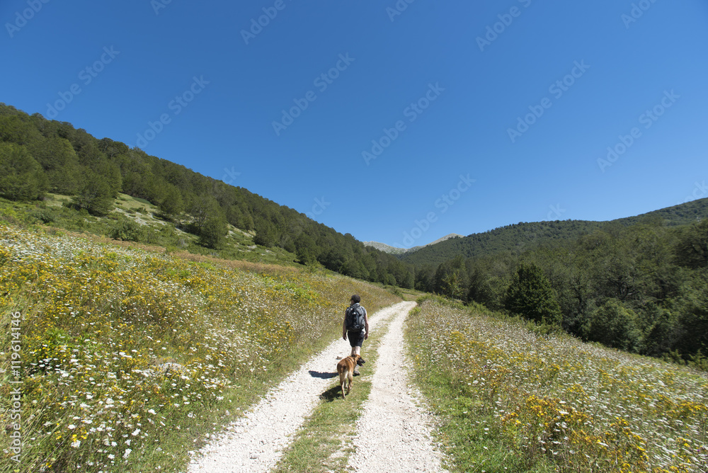 Man and dog doing hiking on mountain