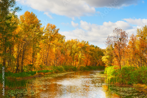 River in the fall